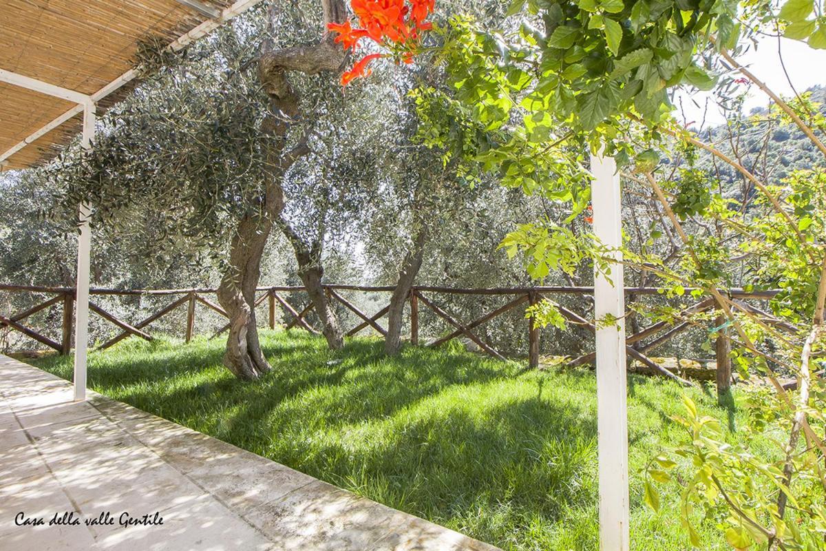 Casa Della Valle Gentile 马蒂纳塔 外观 照片